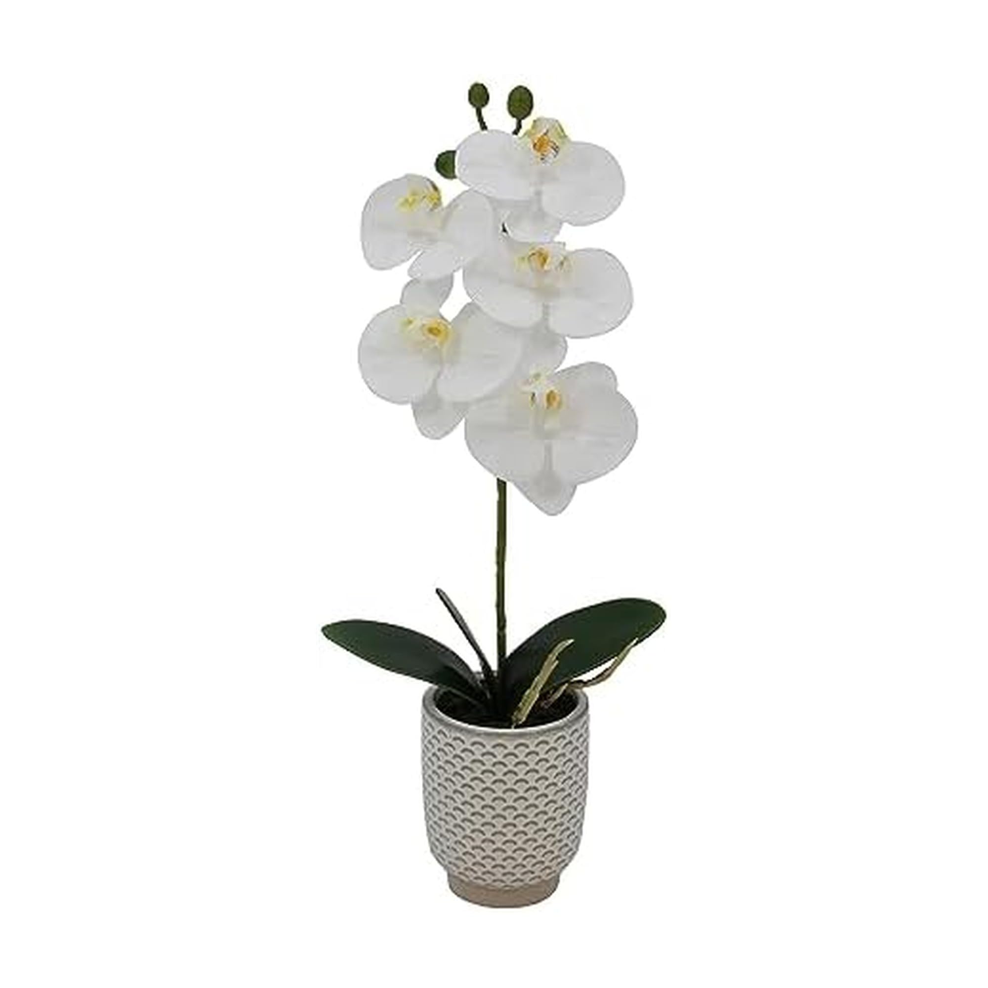 Amazon.com: Mikasa: Artificial Flowers